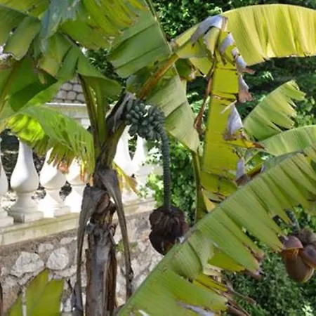 Vila Eden Cap *